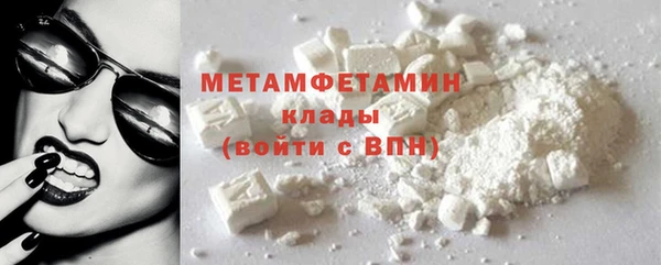 гидра Надым